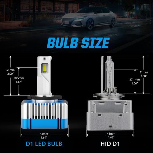 D1 D3 led bulbs similar size