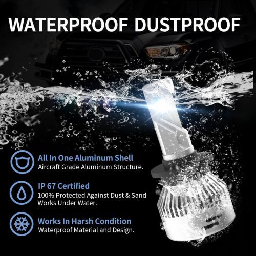 LAplus D2S led bulbs waterproof and dustproof